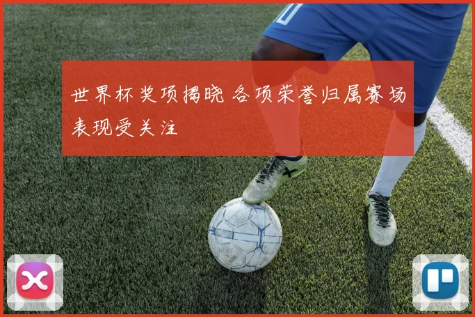 世界杯奖项揭晓 各项荣誉归属赛场表现受关注