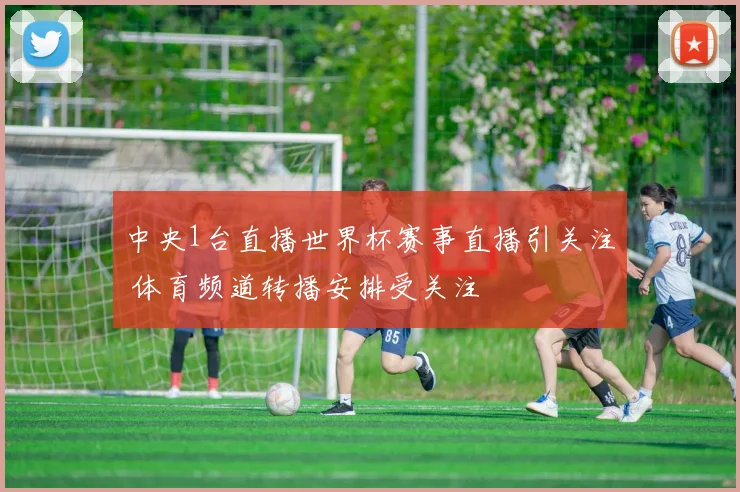 中央1台直播世界杯赛事直播引关注 体育频道转播安排受关注