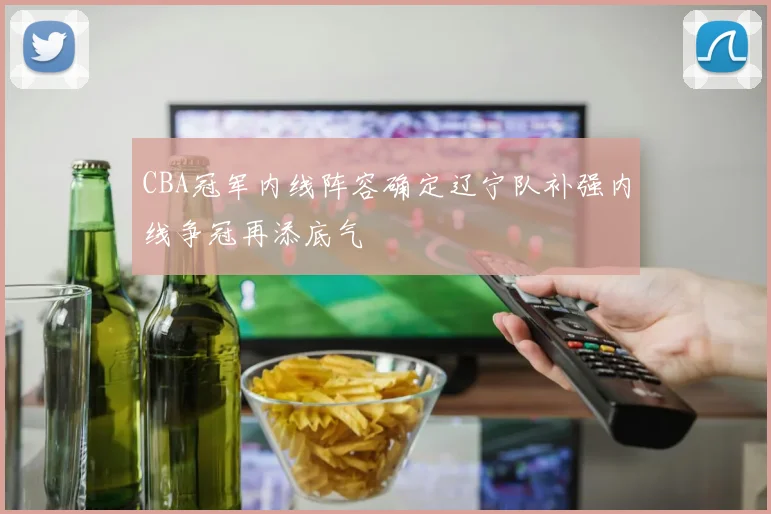 CBA冠军内线阵容确定辽宁队补强内线争冠再添底气