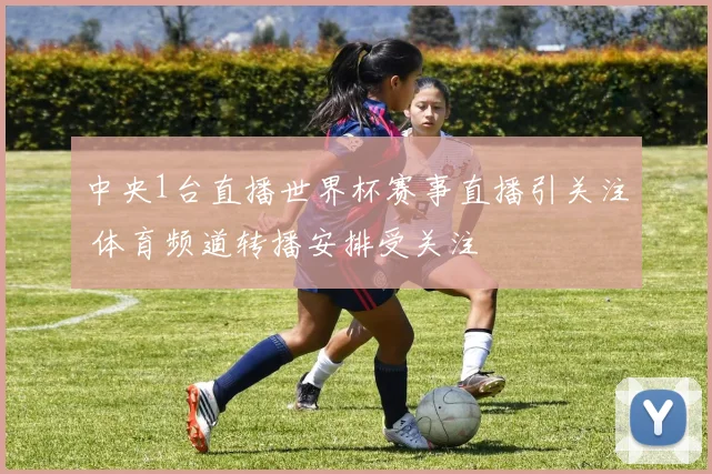 中央1台直播世界杯赛事直播引关注 体育频道转播安排受关注