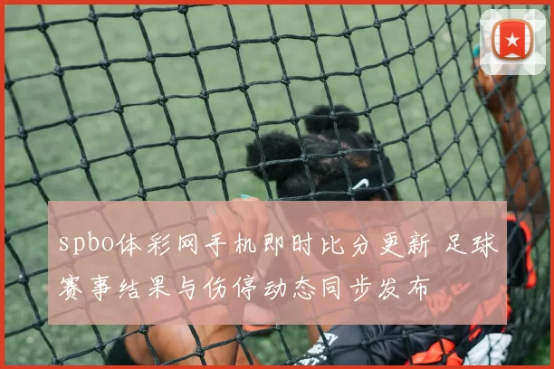 spbo体彩网手机即时比分更新 足球赛事结果与伤停动态同步发布