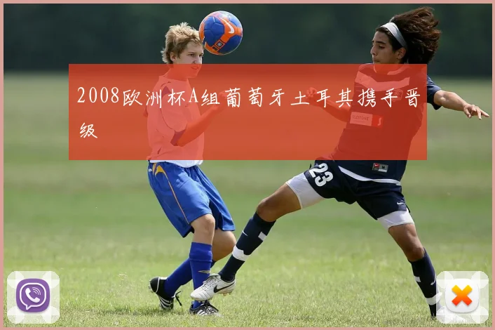 2008欧洲杯A组葡萄牙土耳其携手晋级