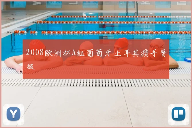 2008欧洲杯A组葡萄牙土耳其携手晋级