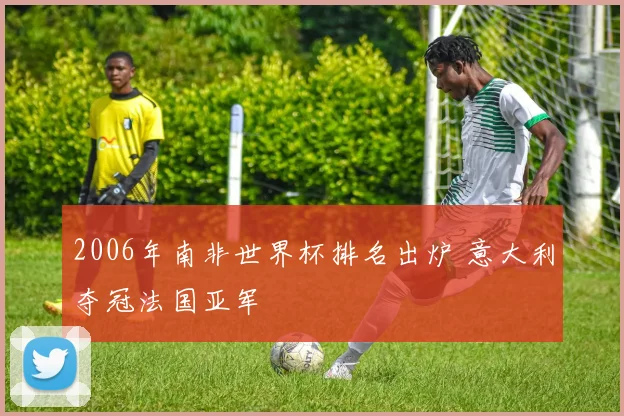 2006年南非世界杯排名出炉 意大利夺冠法国亚军