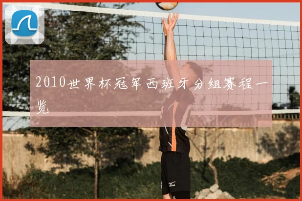 2010世界杯冠军西班牙分组赛程一览