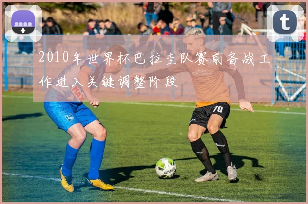 2010年世界杯巴拉圭队赛前备战工作进入关键调整阶段