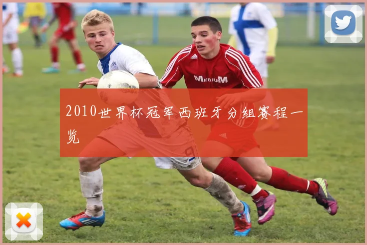 2010世界杯冠军西班牙分组赛程一览